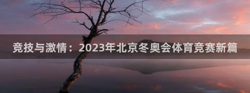 vsport体育官方正版app官网:竞技与激情:2023年北