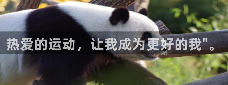 vsport体育官网下载招商电话号码查询:热爱的运动,让我成