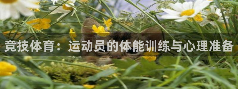 vsport体育官网下载平台注册要钱吗是真的吗:竞技体育:运